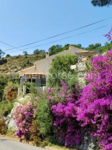 La Vallicella à Farinole